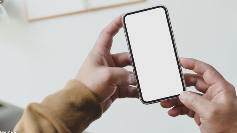 How to Choose a Web Designer for Your Local Business