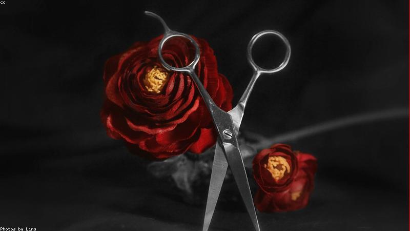 Best Website Features for Beauty Parlours
