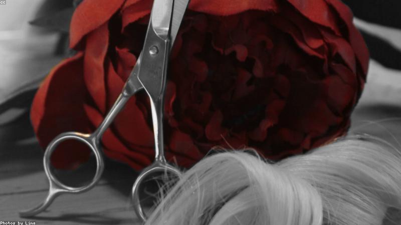 How Much Does a Salon Website Cost in India?